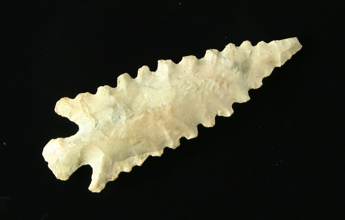 1 5/8" Spiro Mound Point: Excellent piece collected by Dr. Robert Bell and Karl Englander from Spiro Mound in LeFlore Co., Oklahoma. Excellent serrations!