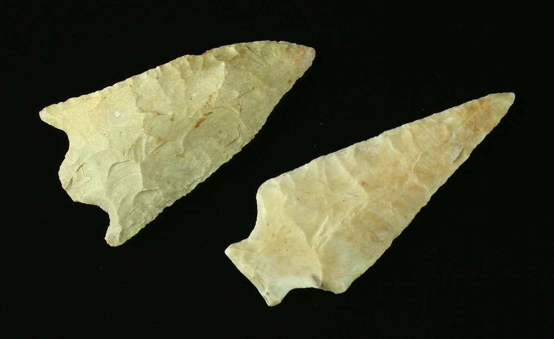 Pair of Archaic points: Nice pair of Points appearing to be an Ohio Ashtabula in Flint Ridge and a Fossil Chert Wade or other KY/TN Type. Good lot for size. Both are over 2.5"