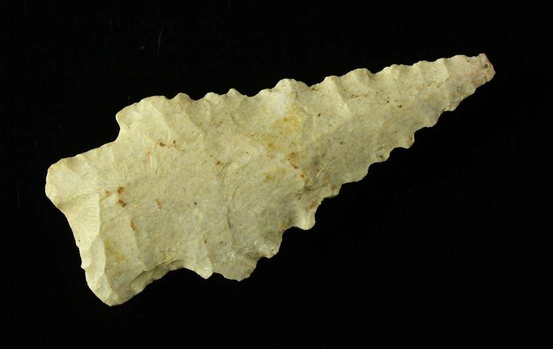 2 1/8" Kirk Serrated: Fossil chert example from Kentucky. Nice!