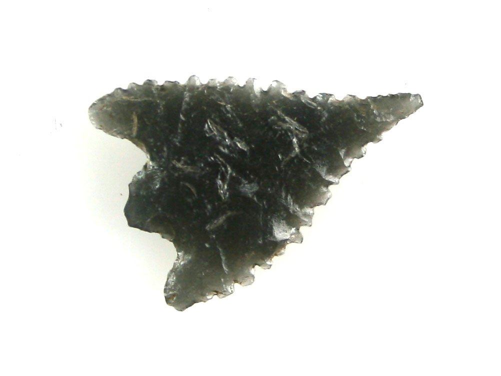 1" Gunther: Obsidian example found by Bob Rogers in Klamath Co., Oregon in the 1950's/1960's.