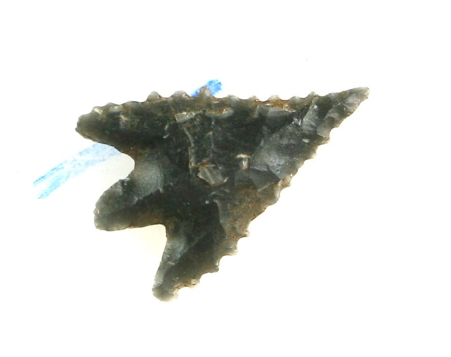 1" Gunther: Nice obsidian example found by Bob Rogers in Klamath Co., Oregon between 1950-1969. Nice!