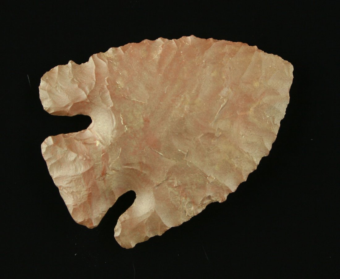 2 1/8" Lost Lake - Partain COA: Wayne Co., Tennessee find in Buffalo River Chert. Partain COA'ed as a Kirk but this beveled example is definitely Lost Lake. Ex - Lamar Atwood Collection.