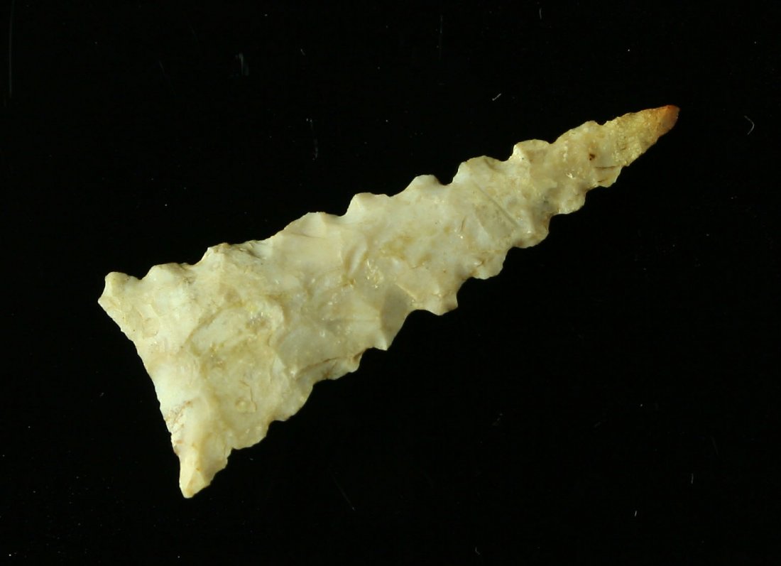1 1/2" Serrated Fort Ancient: Nice example found in Garrard Co., Kentucky. Boyle Chert.