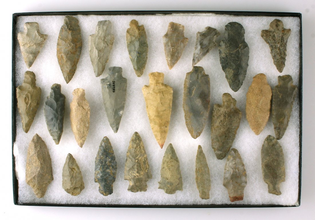Display of 25 Nice Adenas.: Includes frame. Great assortment most over 2"+. All Kentucky. Ex - Dale Bratcher Collection.