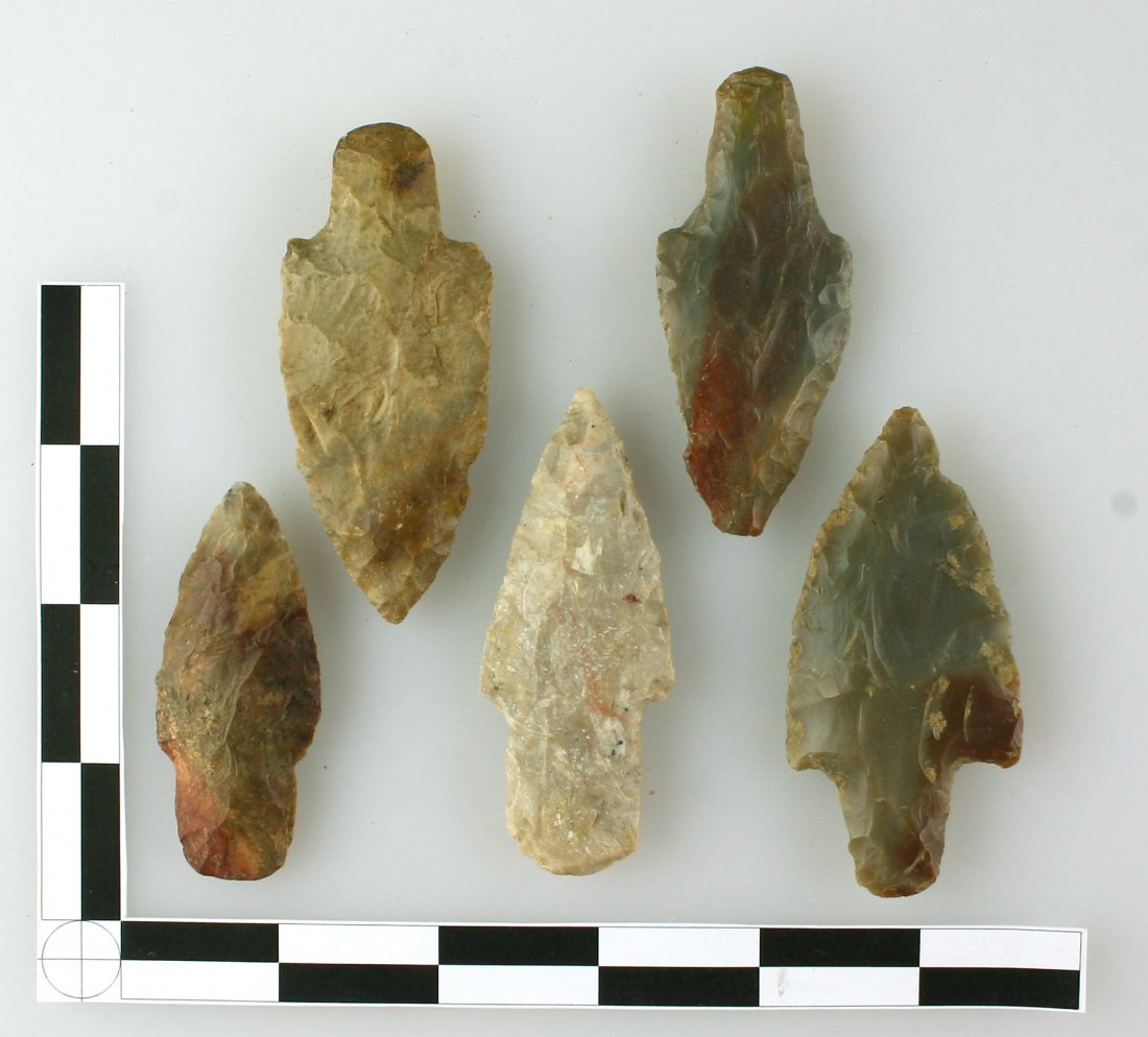5 Killer Adenas: Nice grouping all in the 2.5 to 3" range. Bourbon Co., Kentucky. Boyle chert and Carter Cave Flints. Ex - Hadden.