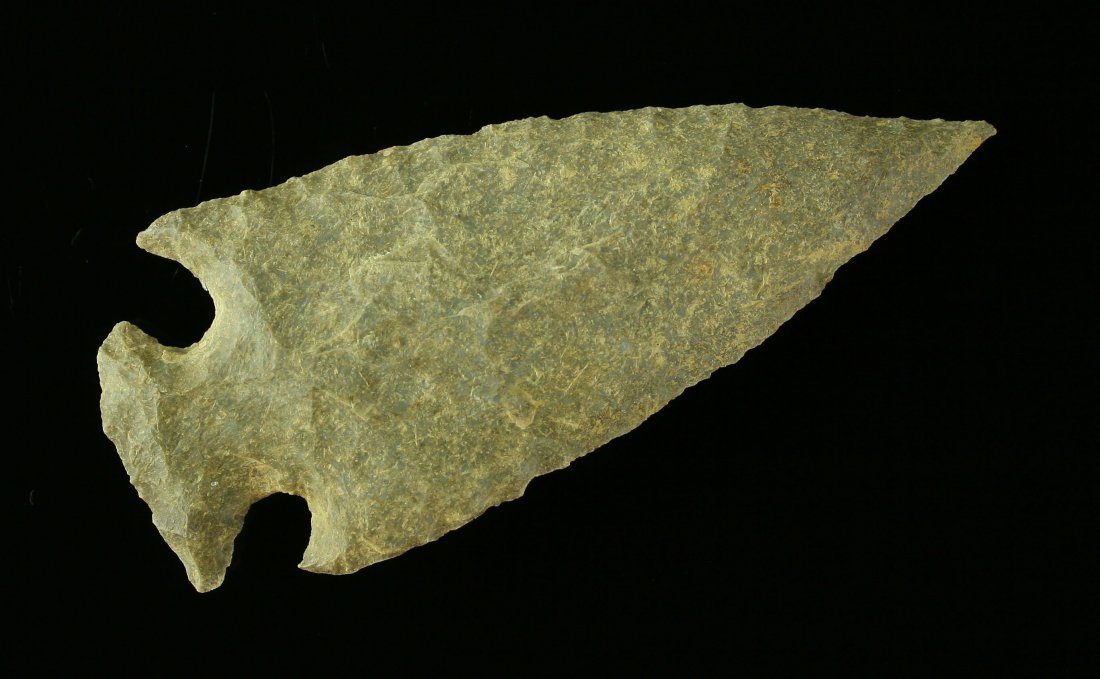 2 15/16" Motley: Fossil Chert example found near Mayfield in Graves Co., Kentucky by Dale Bratcher.