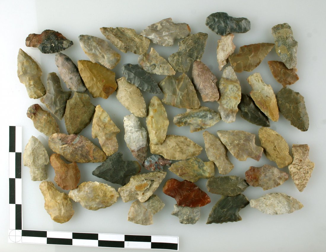 50 Nice Adenas: All in the 1-2" range from Bourbon Co., Kentucky. Ex - Hadden Collection. Carter Cave flint and Boyle Cherts primarily. Great to make a frame with!