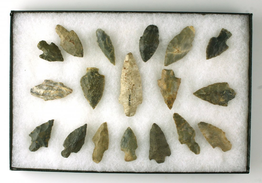 18 Nice Adenas in display.: Includes 8x12 frame. All from Western Kentucky. Ex - Dale Bratcher Collection.