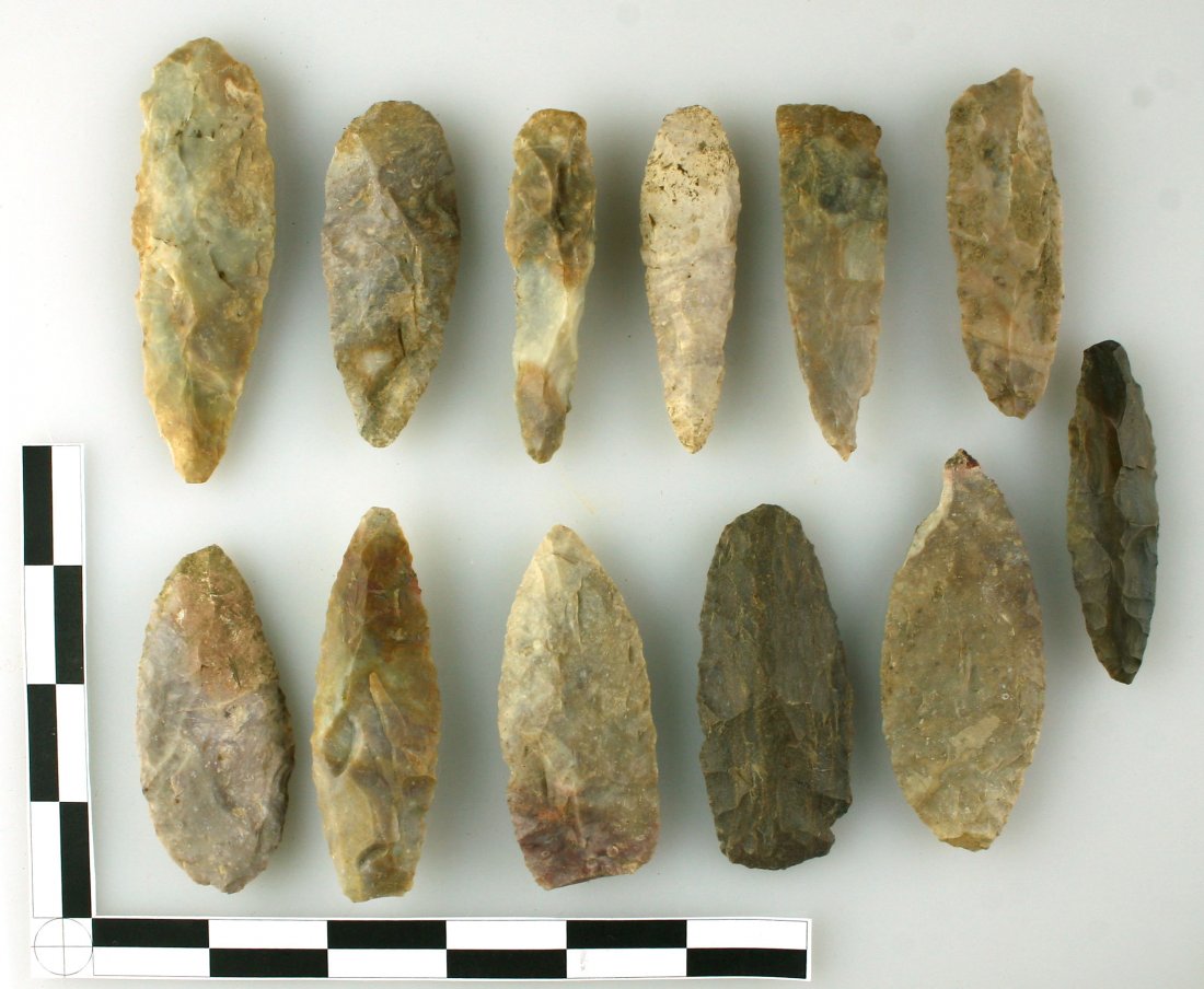 12 Super Nice Adena Blades: Nice assortment of Boyle chert blades in the three inch range from Bourbon Co., Kentucky. Ex - Hadden Collection.