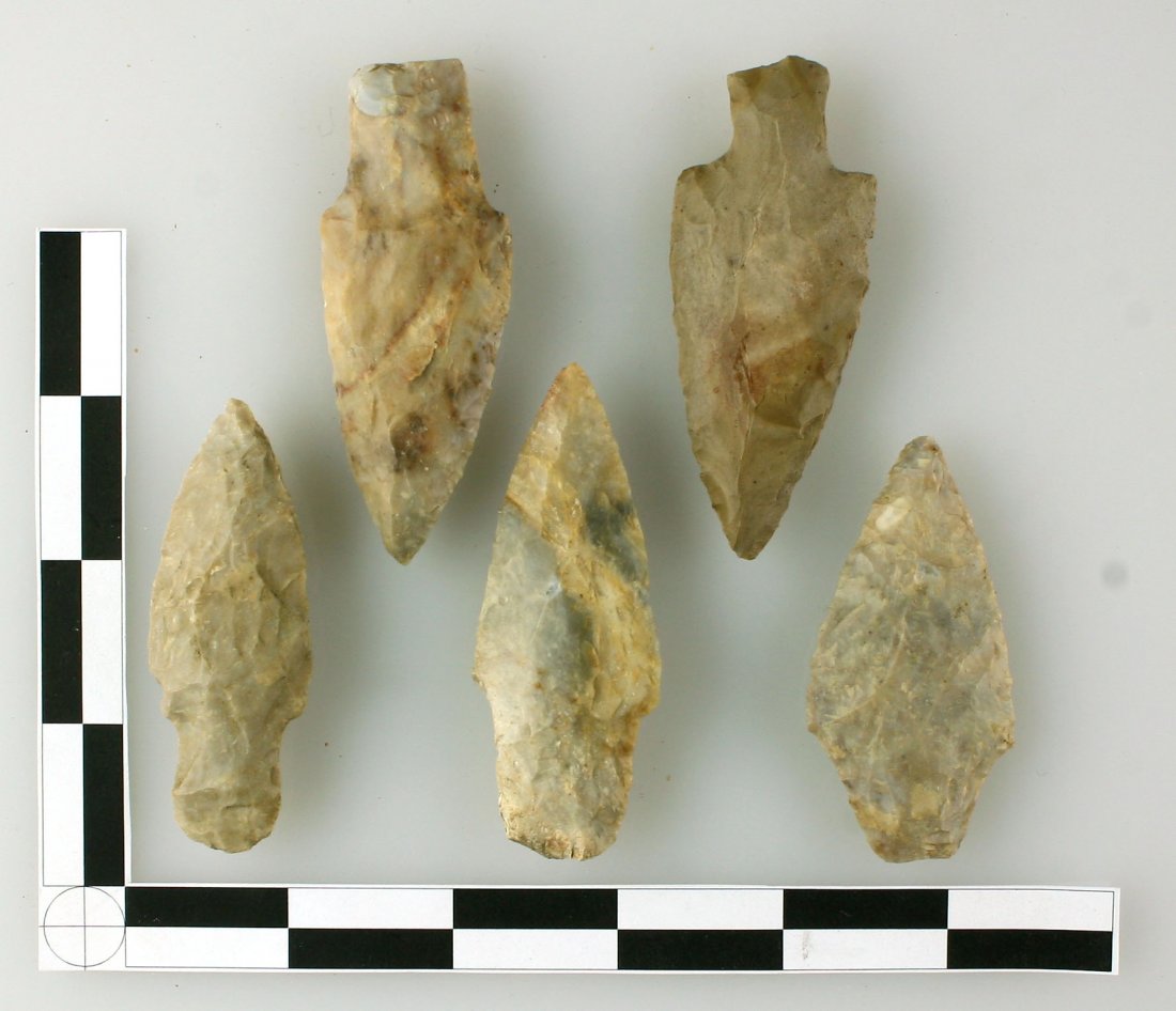 5 Killer Adenas: All in the 2 1/2" to 3" range. Bourbon Co., kentucky. Most are Boyle Chert. Ex - Hadden Collection.