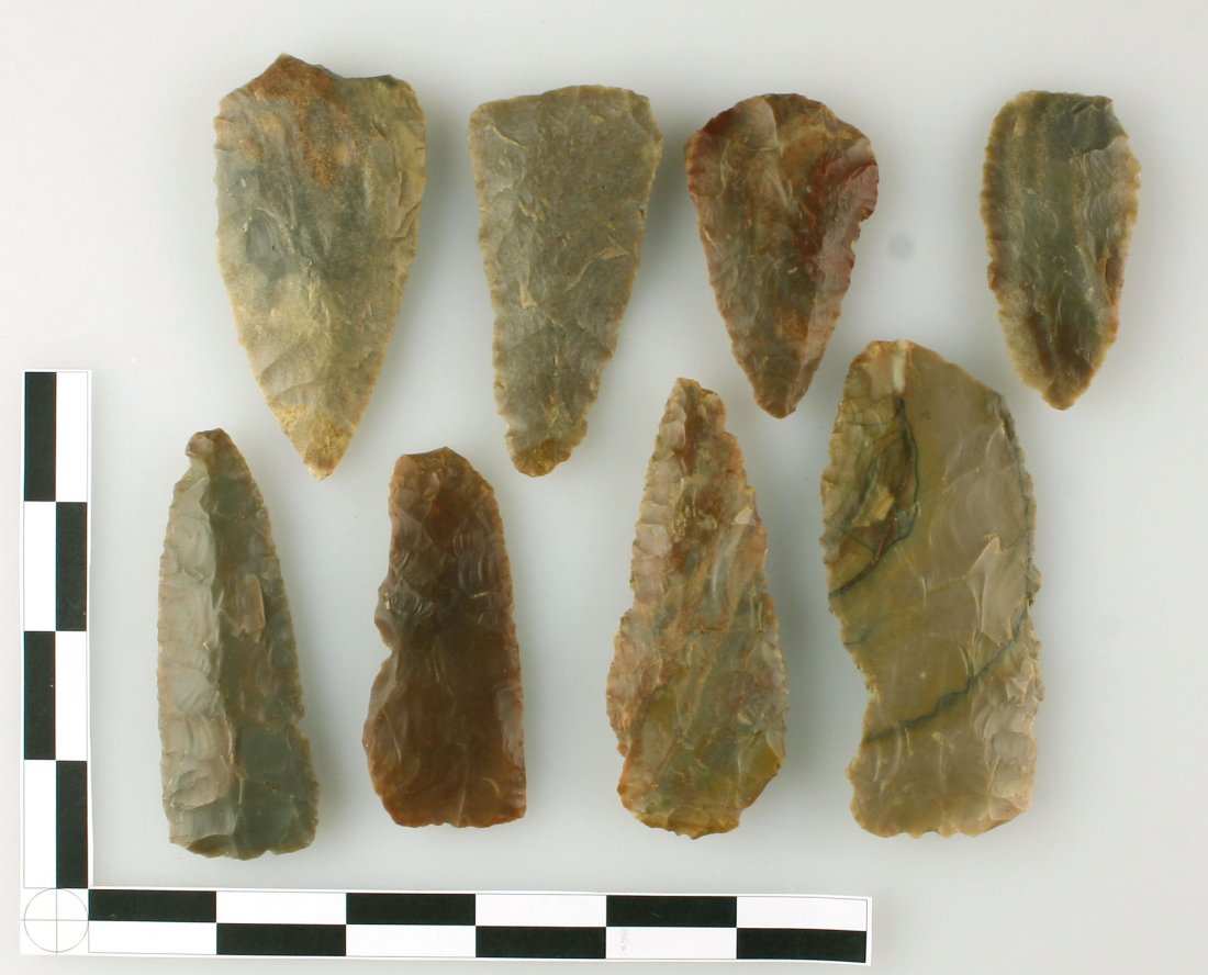 8 Awesome Cobbs Blades: All Carter Cave flint between 2 1/2" and 4". All found in Bourbon Co., Kentucky. Ex - Hadden Collection.