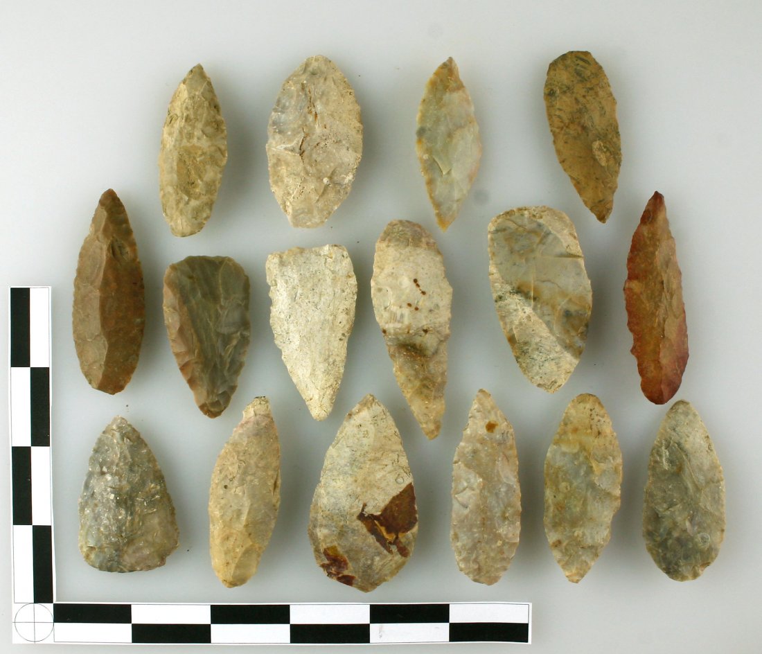 16 Adena Blades: Boyle chert examples mostly in the 2 to 2 1/2" range. Bourbon Co., Kentucky. Ex - Hadden Collection.