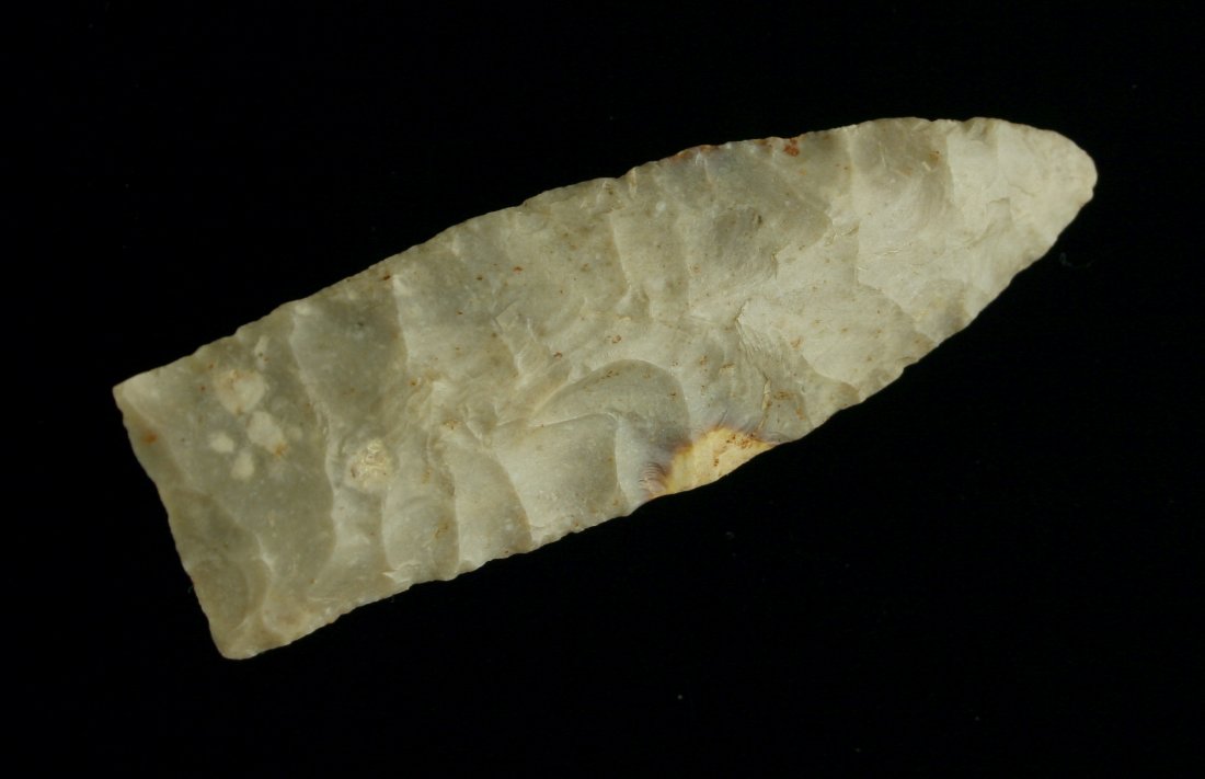 Stupendous 3" Firstview - Jackson G-9.5 COA (1 of 3)