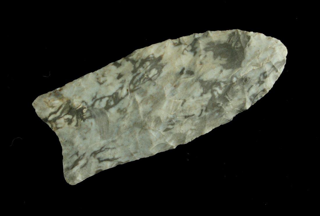 World Class 2 5/8" Clovis - Jackson G-9.5 COA (1 of 2)