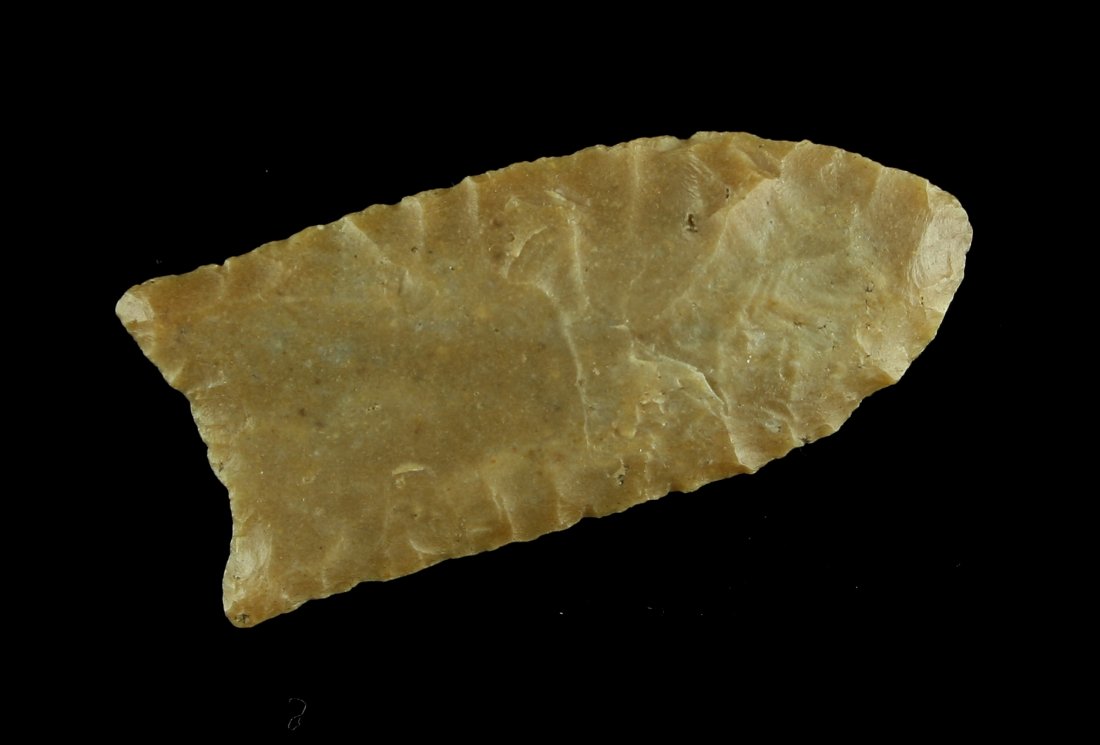 1 7/8" Carter Cave Clovis - Jackson G-9 COA (1 of 3)