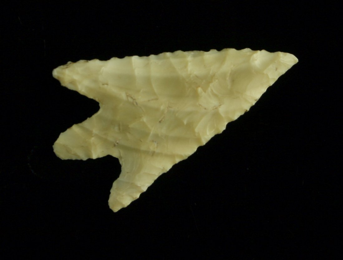 World Class 1 3/8" Perdiz - Jackson G-10 COA (1 of 3)