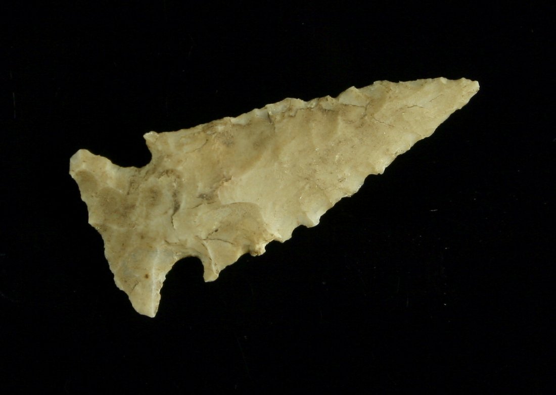 Exceptionally Fine 1 3/8" Scallorn (1 of 2)