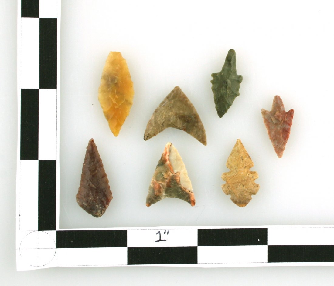 7 Nice Neolithic Birdpoints (1 of 1)