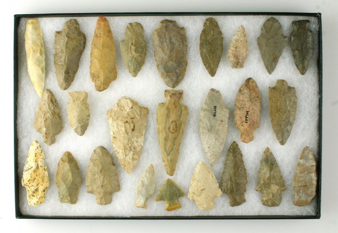 25 Nice Adenas in a 8x12 Frame (1 of 1)