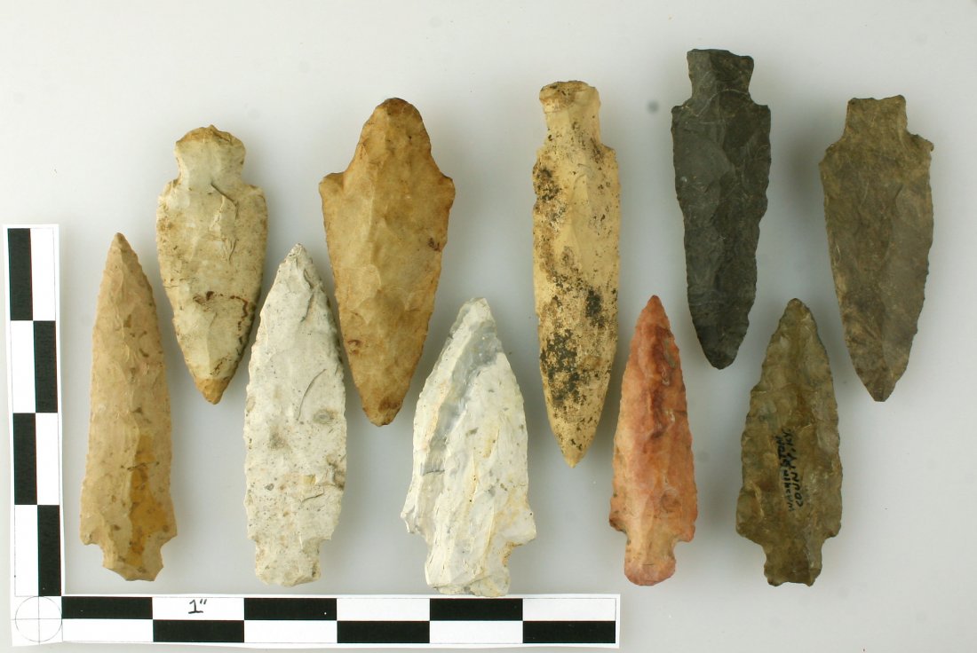 10 3"++ Super  Stemmed Points (1 of 1)