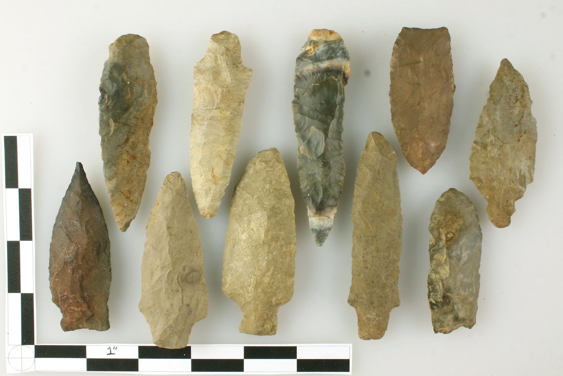 10 Super Stemmed Points (1 of 1)