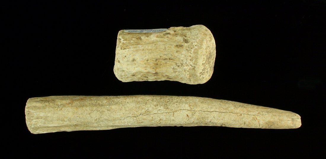 8 1/2" Atl-Atl Hook w/ Handle: Interesting set from Harrison Co., Indiana. Rare!