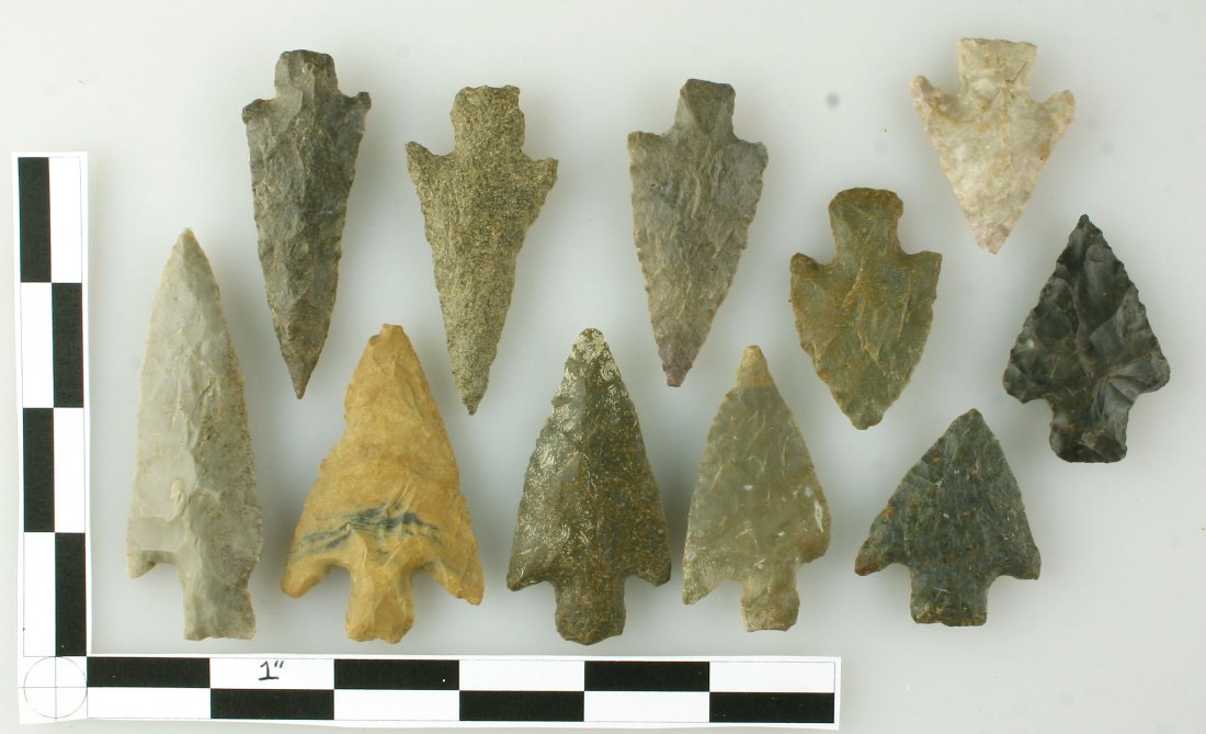 11 Super Buck Creeks in the 2-3"+ Range (1 of 1)