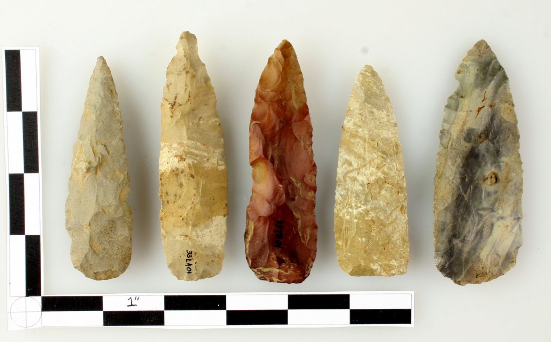 5 Excellent Paleo Scrapers (1 of 1)