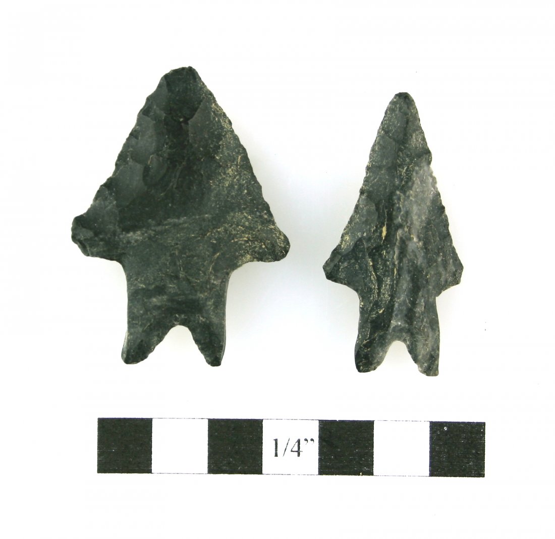 Pair of Lake Erie Points (1 of 2)