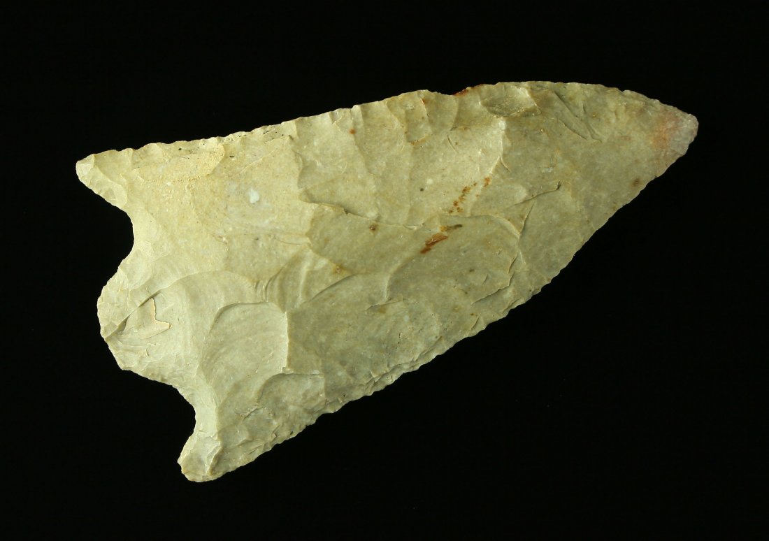 2 5/8" Wade: Nice fossil chert example from KY/TN with early collector #.