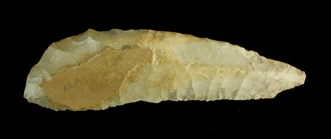 Huge 5 3/4" Uniface Paleo Knife / Scraper (1 of 2)