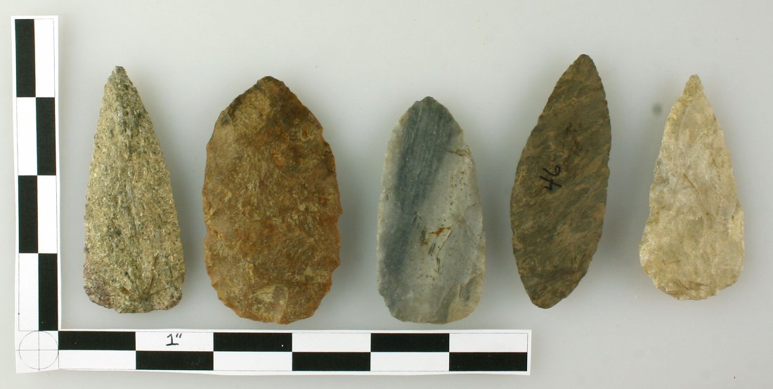 5 Nice Preform Blades (1 of 1)