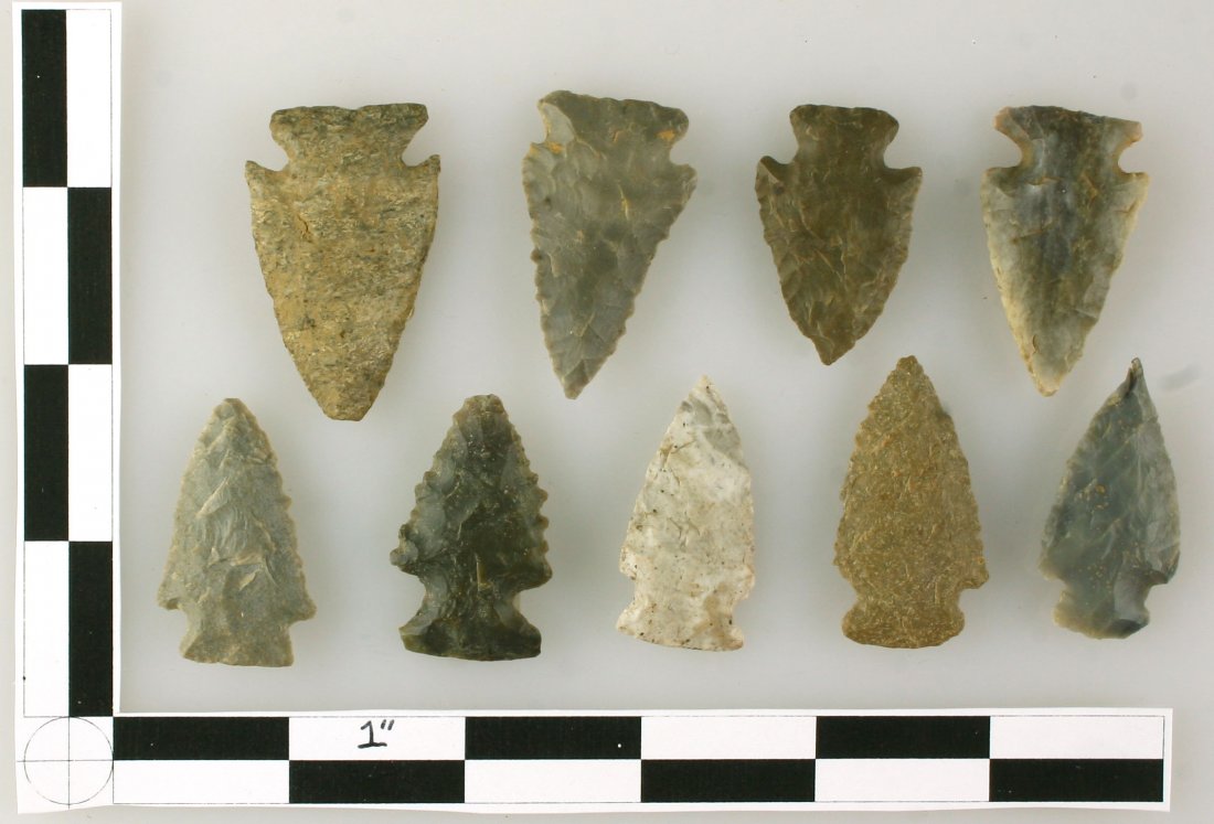 9 Super Nice Palmers/Pinetrees (1 of 1)