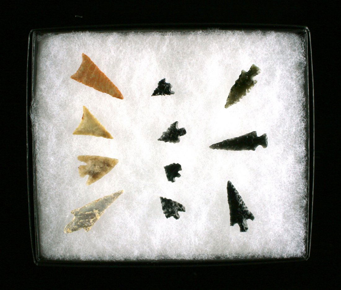 Nice frame of assorted small Birdpoints (1 of 1)