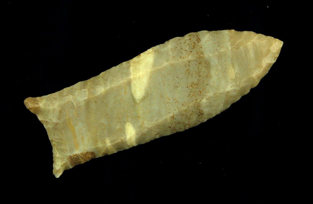 2 3/4" Cumberland - Jackson G-10 COA: Fluted to the tip on both sides! High-grade, multi-toned Carter Cave with excellent color and translucency._x000D_ Found in Carter Co., Kentucky. Ex- Connelly Collection. No stacks, divots, or other s