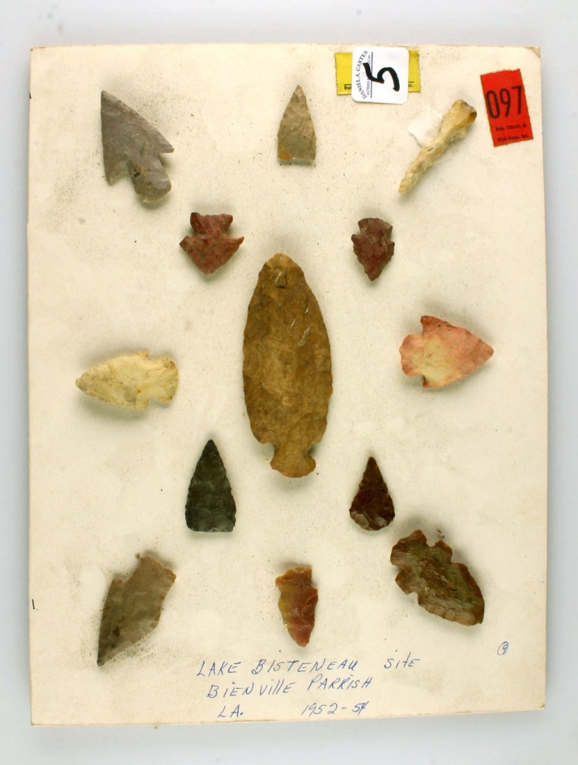 13 Nice Louisiana Points on a Board *DECORATIVE: Listed as Lake Bisteneau Site in Bienville Parrish and found between 1952-1954. Louisiana. Decorative Only