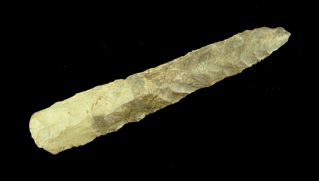 2 7/8" Drill: Fossil chert example from Carter Co., Kentucky found by Ken Broughton.