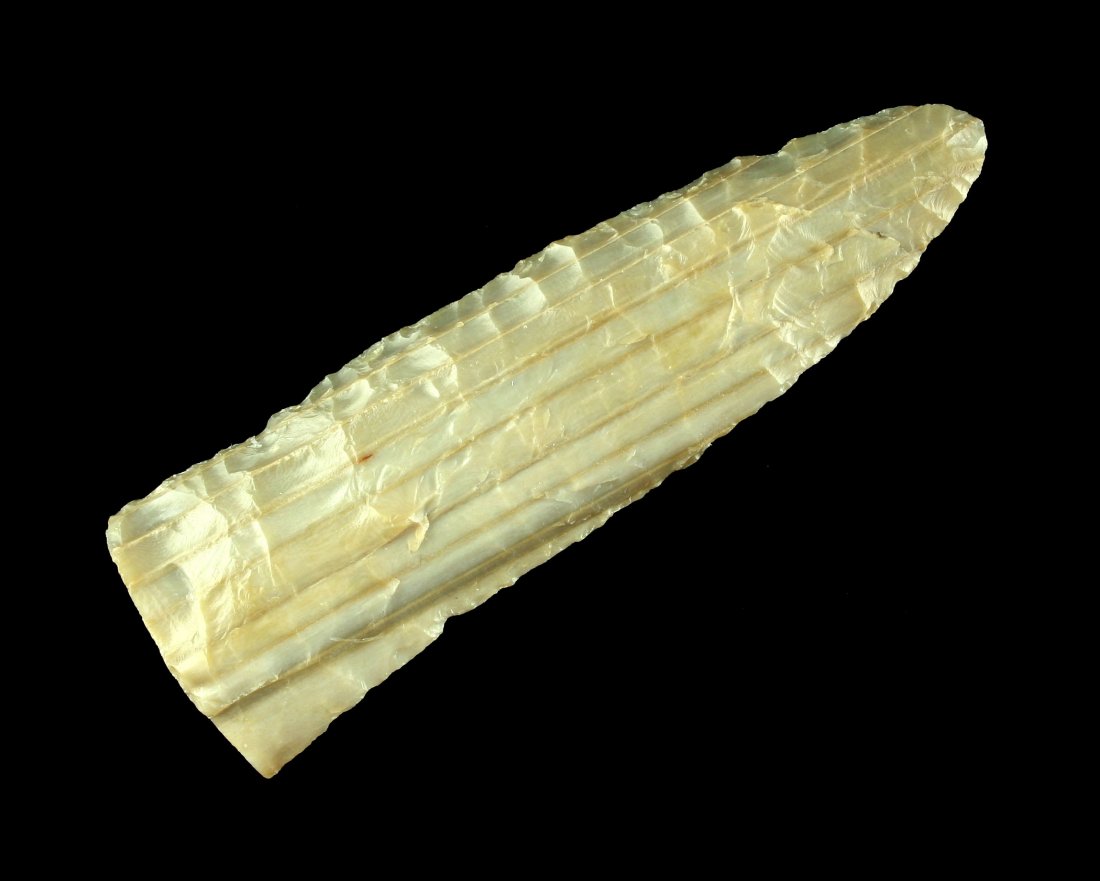 3 5/16" Petrified Wood Blade (1 of 2)