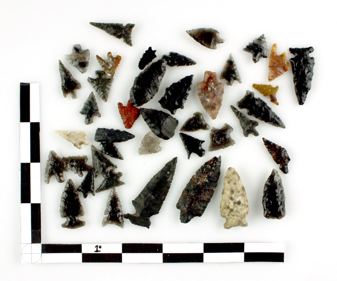 40 Oregon Birdpoints (1 of 1)