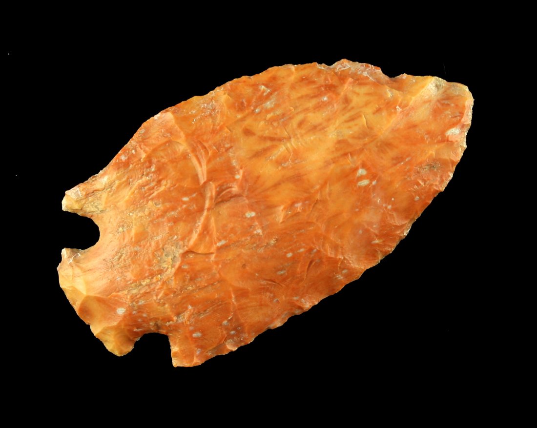 2 7/16" Lafayette: Florida example made from Agatized Coral with visible polyps. Ex - Dr. Honeywell Collection and displayed at Purdue University for many years.