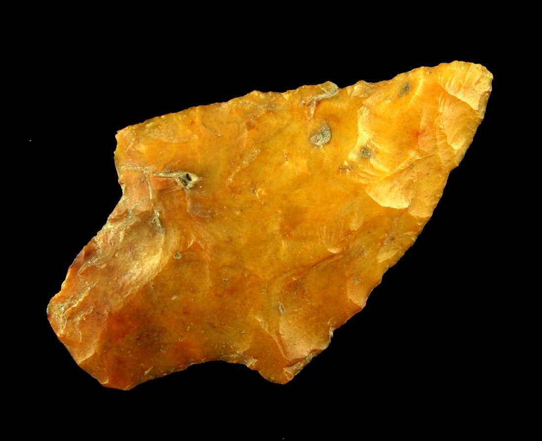 Orange 2" Florida Newnan (1 of 2)