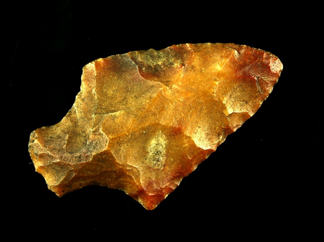 Extra Fine 2 1/16" Florida Arrowhead (1 of 2)
