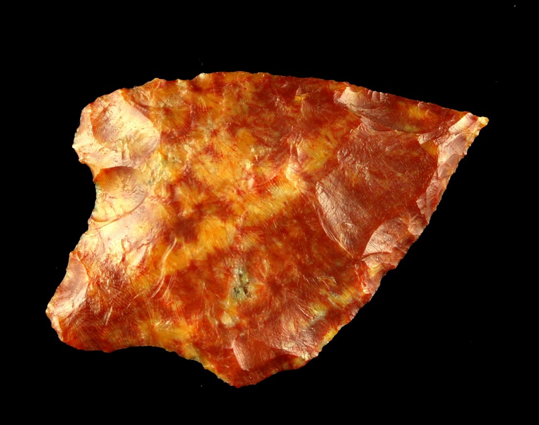 Colorful 2 1/16" Florida Arrowhead (1 of 2)