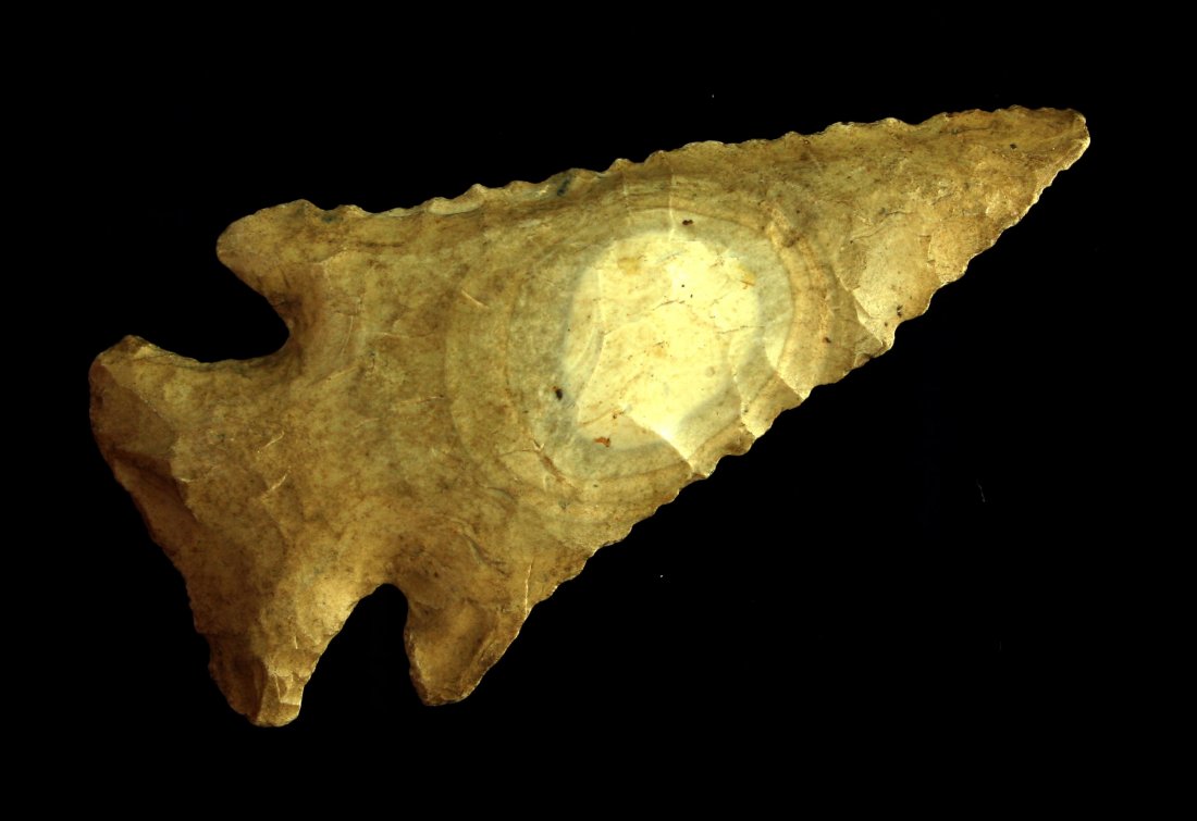 Awesome 2 3/4" Bulleye Hornstone Hardin - Jackson COA (1 of 2)