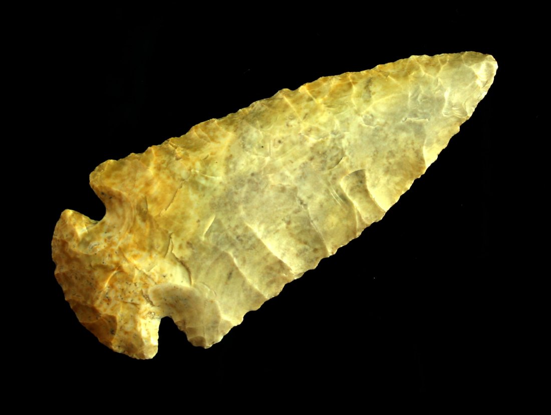 Extra Pretty 2 7/8" Dovetail - Jackson G-8.5+ COA (1 of 2)