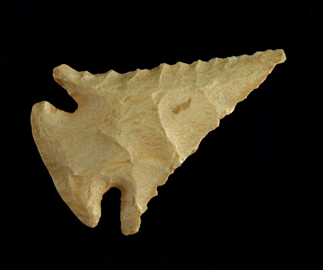 Super 2 1/16" Alabama "Christmas Tree-type' Pinetree (1 of 2)