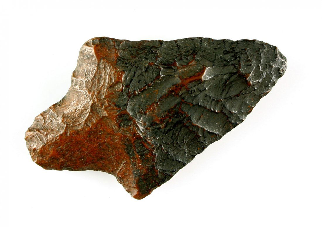 Colorful 2 3/4" Florida point (1 of 2)