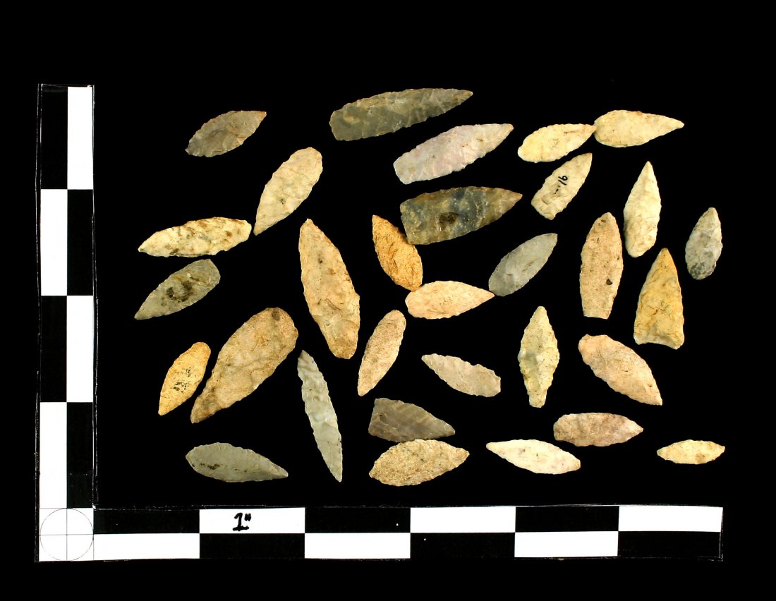 31 Nice Nodenas: All Arkansas examples.