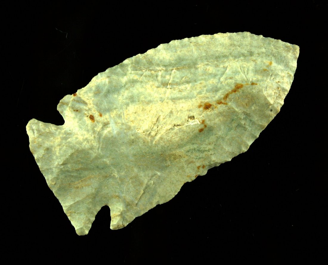 2 1/4" Pinetree (1 of 2)