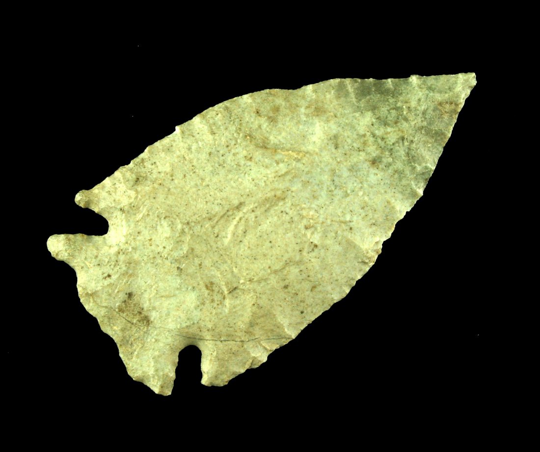 1 15/16" Intrusive Mound (1 of 2)